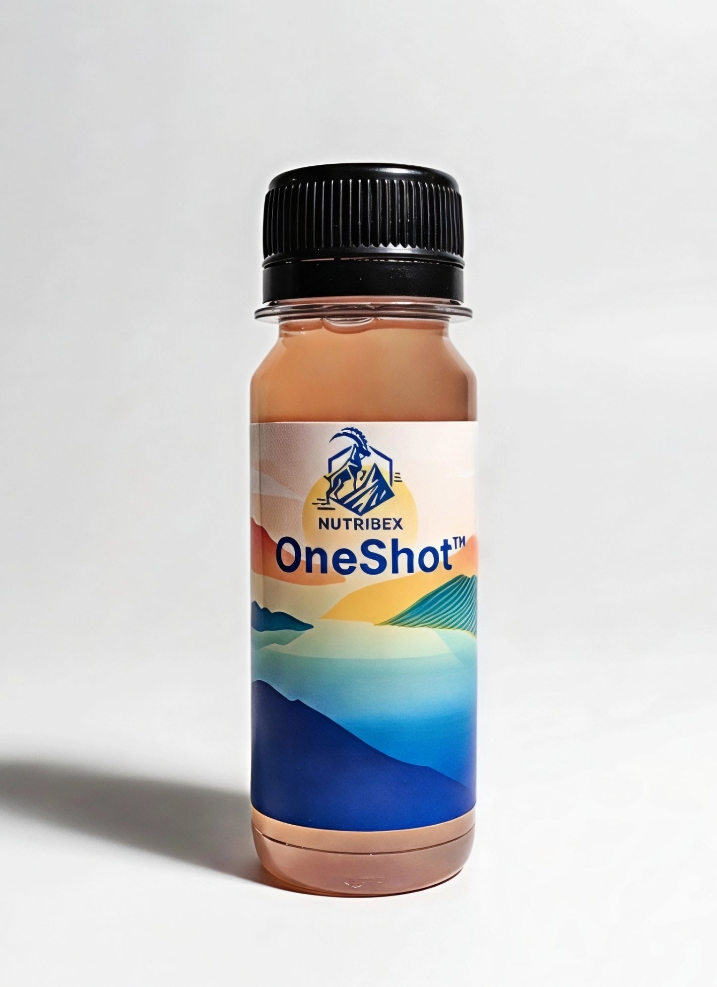 OneShot